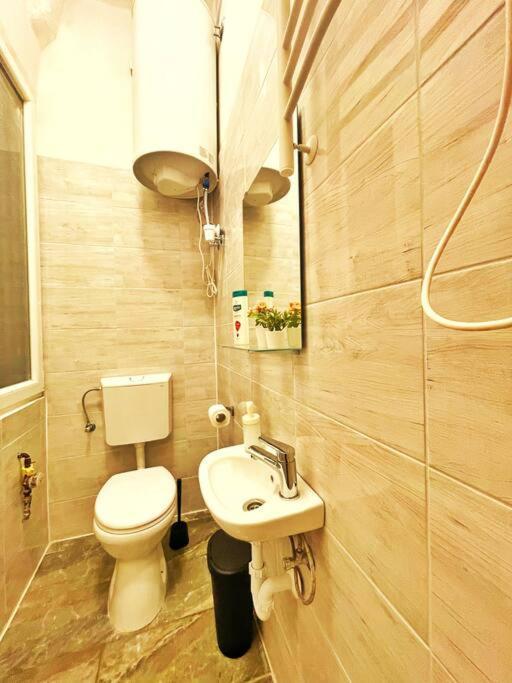 Central Studio Flat Budapest Luaran gambar